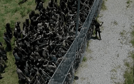 [Image: maggie-fence.gif]